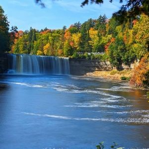 Meet your Posher, Betty